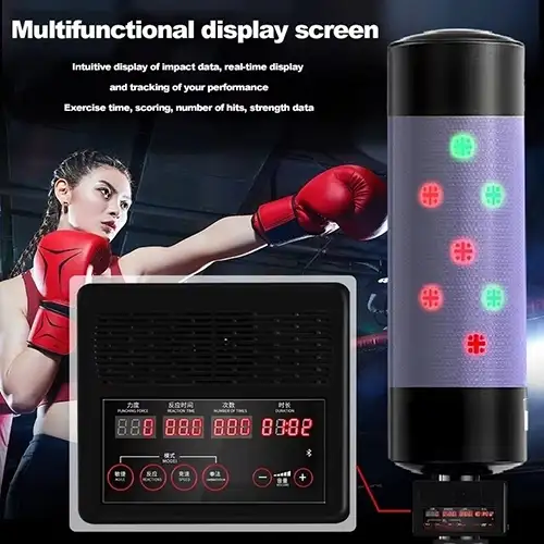 Musical Boxing Sandbag