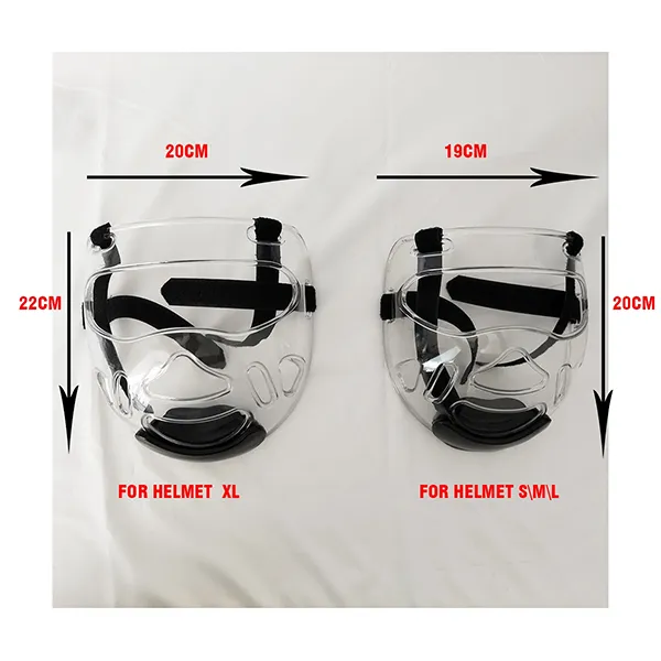 Karate Face Protector